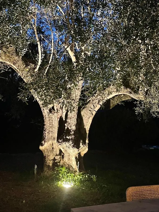 Villa La Carpenee Roquefort-les-Pins
