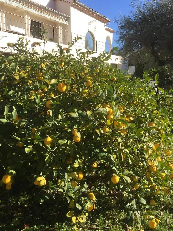 Villa La Carpenee Roquefort-les-Pins 0*,